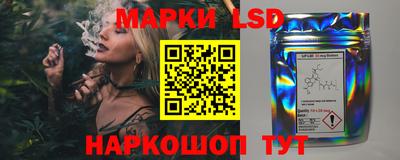 МДПВ Краснодар