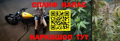 МДПВ Краснодар