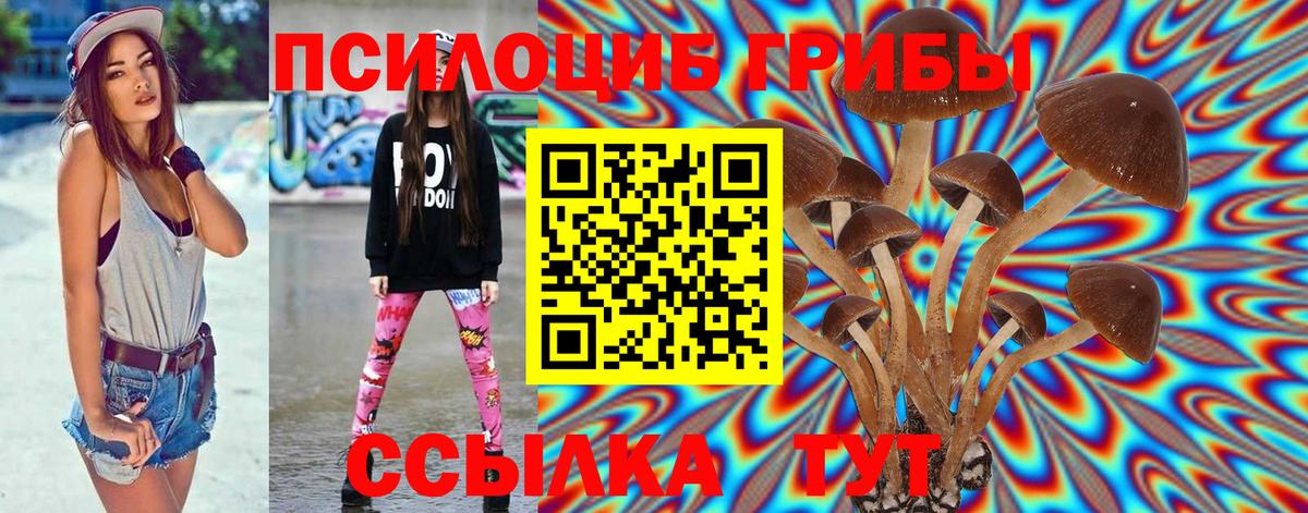 Псилоцибиновые грибы мухоморы Канаш